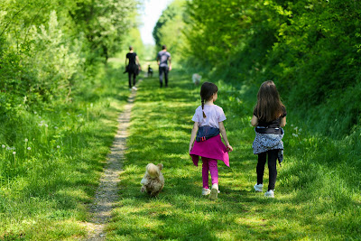 Wildlife Watching Walk: